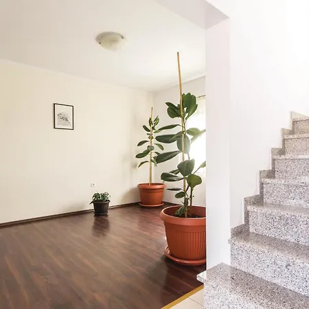 Cozy In With Kitchen Pola