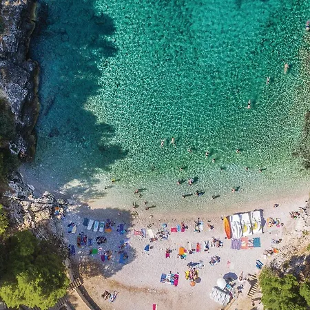 Semesterbostad Cozy In With Kitchen *